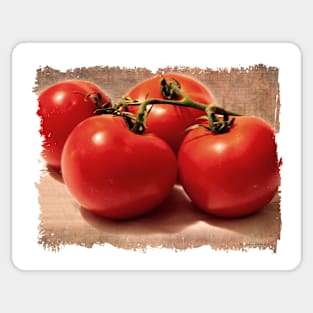 Vintage Grunge Tomatoes Sticker